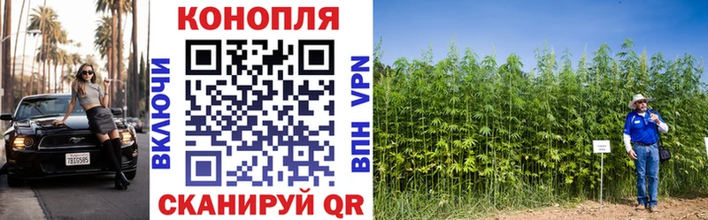 Хочу наркоту Бакал Псилоцибиновые грибы  Кокаин  МЕФ  Марихуана  mega ссылка  СОЛЬ 