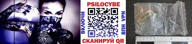 MEGA рабочий сайт  где купить наркотик  Бакал  Галлюциногенные грибы мицелий 